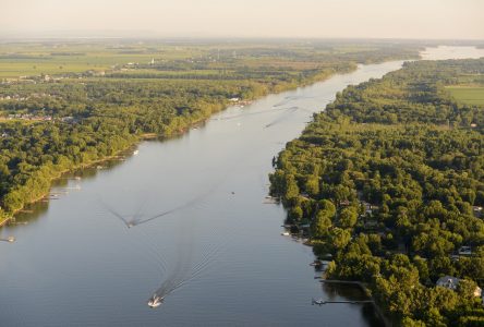 Le Mouvement écologique en assemblée générale le 22 janvier