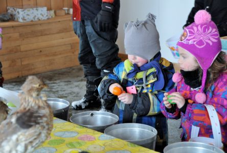 CIME Haut-Richelieu: une chasse aux œufs pour fêter Pâques