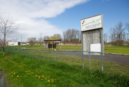 Le parc canin fermé pour des rénovations