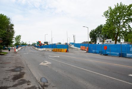 Six arbres abattus pour démolir le vieux pont