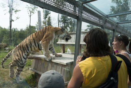 Des visiteurs du Parc Safari exposés à la rougeole