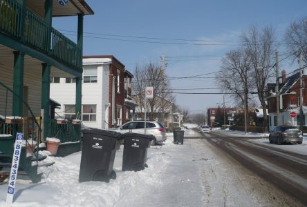 La récupération se tiendra aux deux semaines à compter du printemps