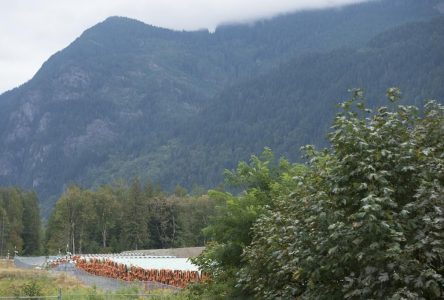 Des groupes autochtones souhaitent encore acquérir Trans Mountain