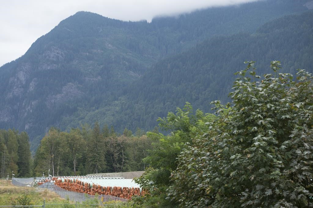 Des groupes autochtones souhaitent encore acquérir Trans Mountain