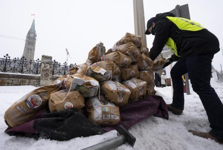 Î.-P.-É.: la gale verruqueuse détectée dans un troisième champ de pommes de terre