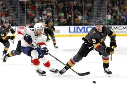 Les Golden Knights mettent fin à une série de cinq revers en renversant les Panthers