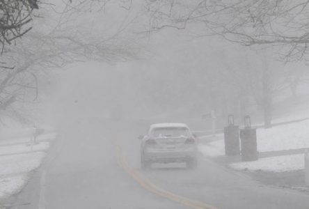 Une nouvelle caméra infrarouge pour «voir» à travers la neige et le brouillard