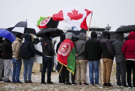 Des interprètes afghans redemandent à Ottawa de sauver les membres de leur famille