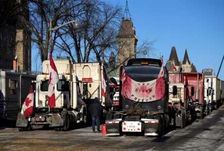 Bousculée par un cheval lors des manifestations à Ottawa: pas gravement blessée