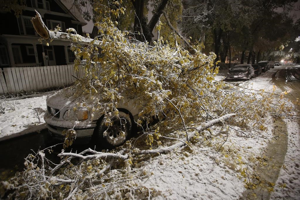 Un blizzard printanier dans les Prairies amène beaucoup de neige et de forts vents