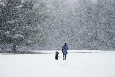 Légère hausse prévue des nouveaux cas en Ontario après le long congé de Pâques