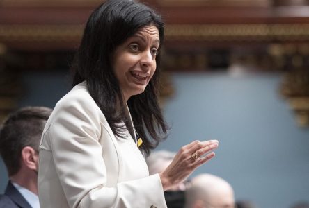 À quelques mois des élections, les libéraux québécois peinent à se définir