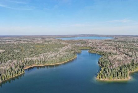 Une vaste étendue de forêt boréale sera protégée dans le nord de l’Ontario