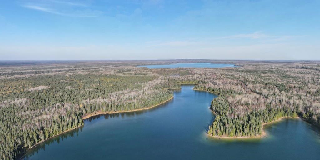 Une vaste étendue de forêt boréale sera protégée dans le nord de l’Ontario