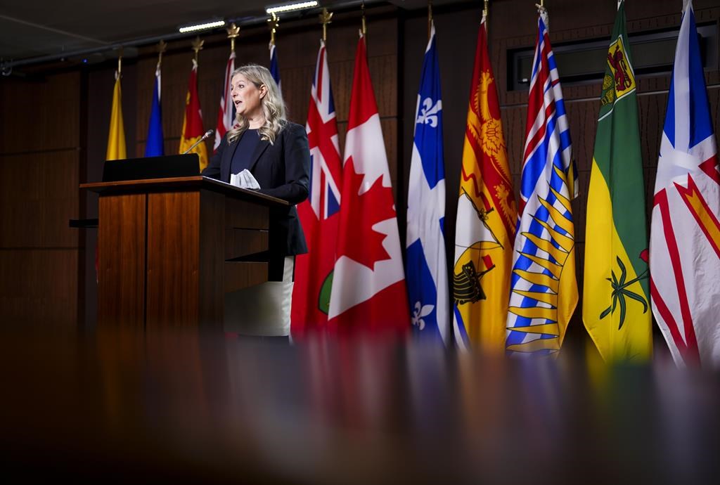 Leona Alleslev rate l’échéancier pour la course à la direction du Parti conservateur