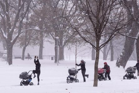 Noah et Emma ont été les prénoms les plus populaires donnés au Québec en 2021