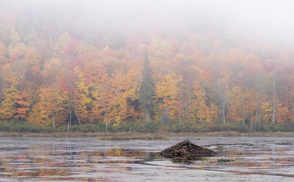 Changements climatiques: le Québec doit se préparer dès maintenant à gérer l’eau