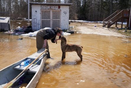 Climat: lancement de la consultation publique sur la stratégie d’adaptation