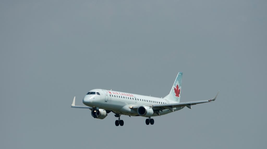 Incidents dans un avion: Québécois arrêté à Terre-Neuve-et-Labrador lundi