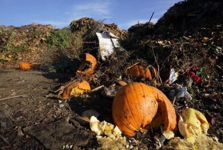 Encore plus de déchets organiques seront bientôt convertis en gaz naturel