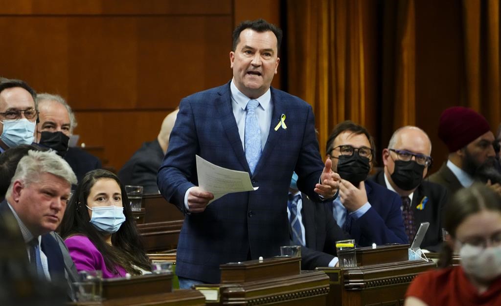 Libéraux à la manif contre le projet de loi 96: «Mêlez-vous pas de ça», dit le Bloc