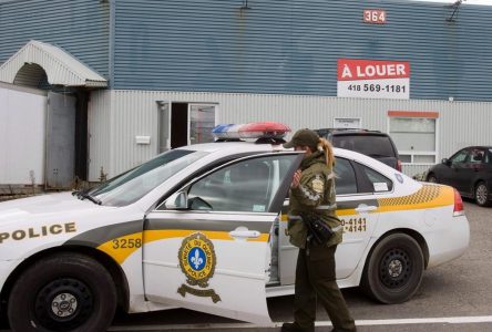 Mauricie: arrestation d’un homme pour plusieurs crimes de pornographie juvénile