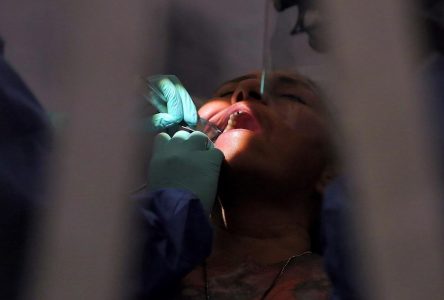 Des cellules souches pourraient un jour réparer les caries dentaires