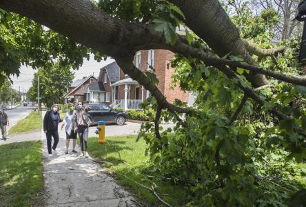 Le bilan de la tempête de samedi en Ontario et au Québec atteint maintenant 11 morts