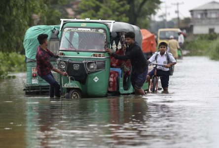 Crise climatique: les ONG ne sont plus en mesure de répondre aux demandes d’aide