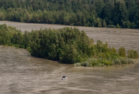 Lente fonte des neiges et pluie en C.-B.: le fleuve Fraser pourrait quitter son lit