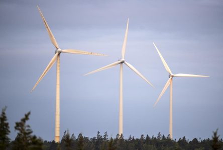 Les sociétés qui se vantent d’utiliser des énergies renouvelables pourraient exagérer