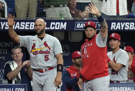 Les Rays balayent les Cards; McClanahan obtient une 5e victoire de suite