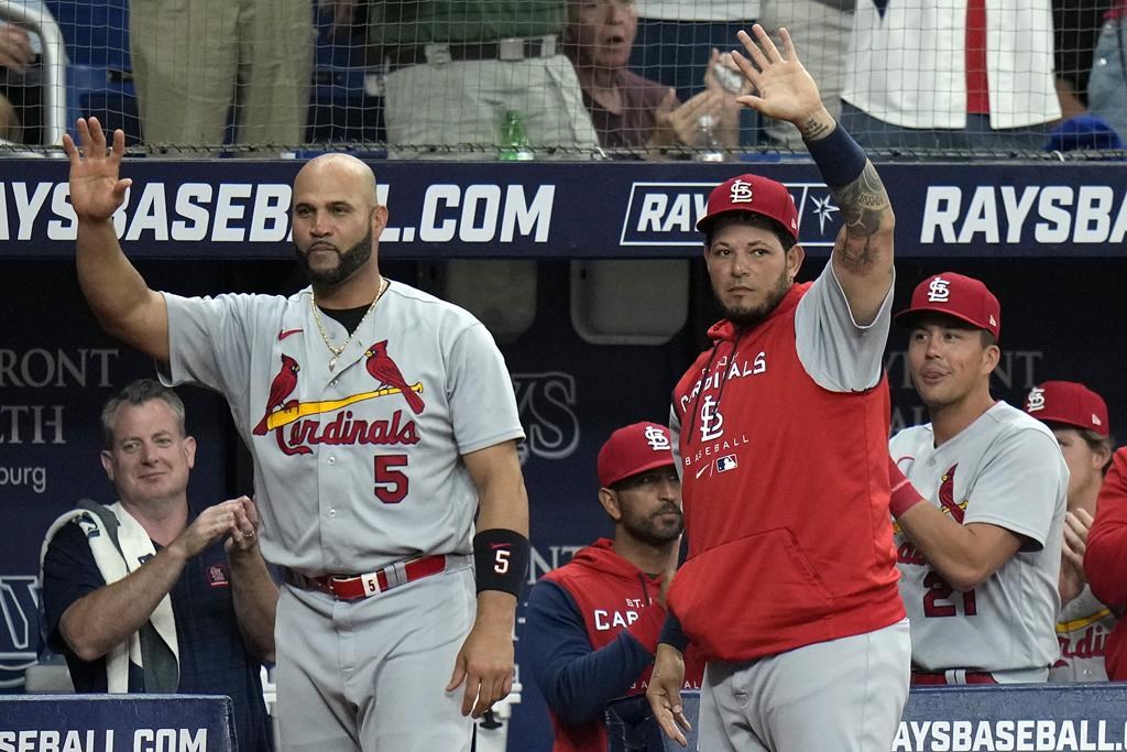 Les Rays balayent les Cards; McClanahan obtient une 5e victoire de suite