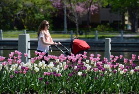 Le nombre de naissances au Québec est revenu au niveau de 2019