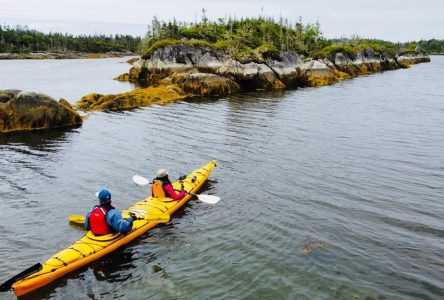 Protection en vue d’un parc national après une bataille de plus de trois ans en N.-É.