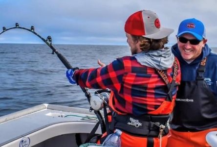 La capture du maquereau de l’Atlantique pour la pêche au thon sera toujours possible