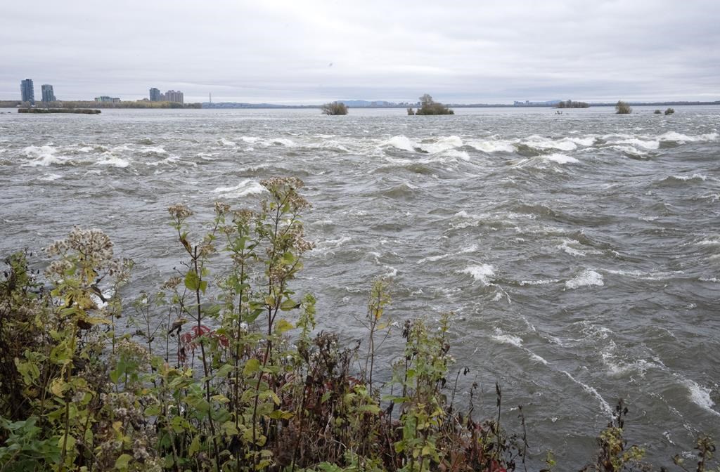 Le corps d’une jeune fille retrouvé en bordure du fleuve à LaSalle