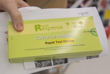 COVID-19: Québec rapporte six nouveaux décès et une baisse des hospitalisations