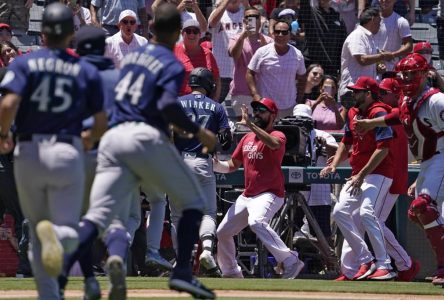 Huit joueurs expulsés lors du match entre les Angels et les Mariners