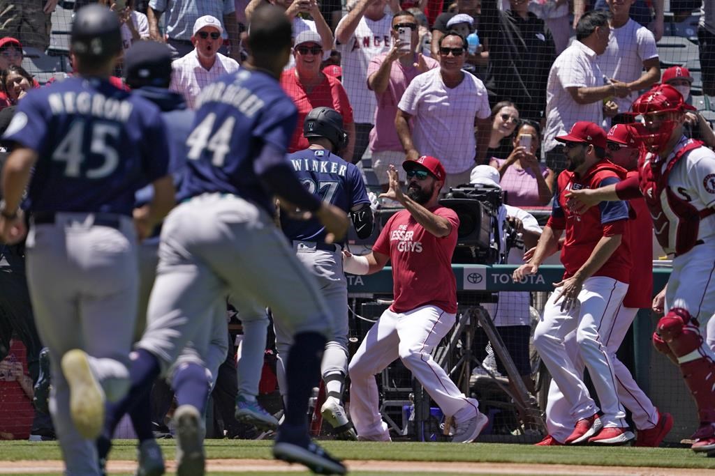 Huit joueurs expulsés lors du match entre les Angels et les Mariners