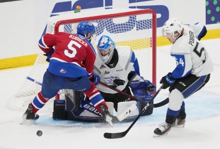 Les Sea Dogs veulent causer une dernière surprise en finale face aux Bulldogs