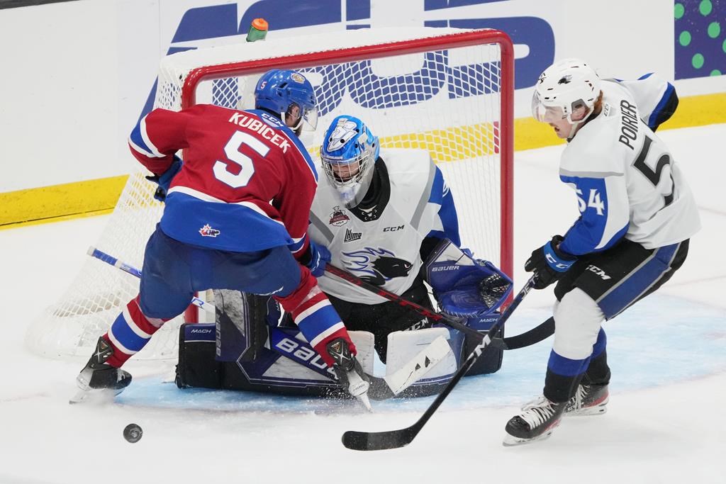 Les Sea Dogs veulent causer une dernière surprise en finale face aux Bulldogs