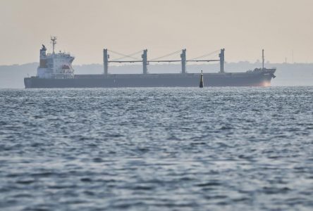 Trois autres navires chargés de céréales quittent l’Ukraine