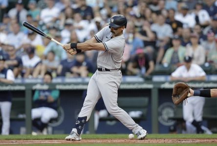 Matt Carpenter des Yankees est victime d’une fracture du pied gauche