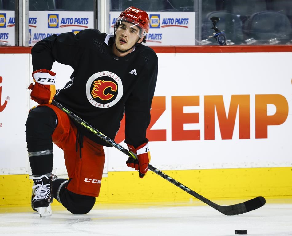 Les Flames font signer un contrat de deux ans à l’attaquant Adam Ruzicka