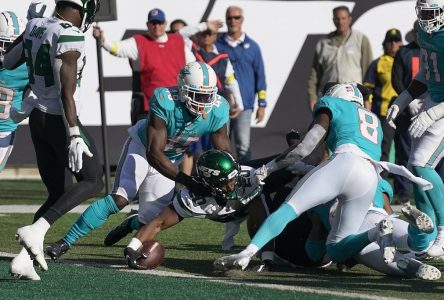 Les Jets étrillent les Dolphins, un rival de section, 40-17