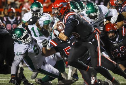 Tommy Stevens mène la charge et les Stampders corrigent les Roughriders 36-10