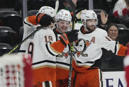 Les Ducks de retour dans la bonne voie en battant les Red Wings, 3-2