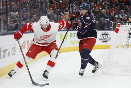 Filip Hronek inscrit deux buts et les Red Wings malmènent les Blue Jackets 6-1