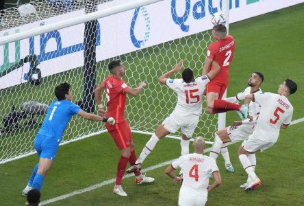 Le Canada éliminé de la Coupe du monde, les partisans devront choisir un autre favori